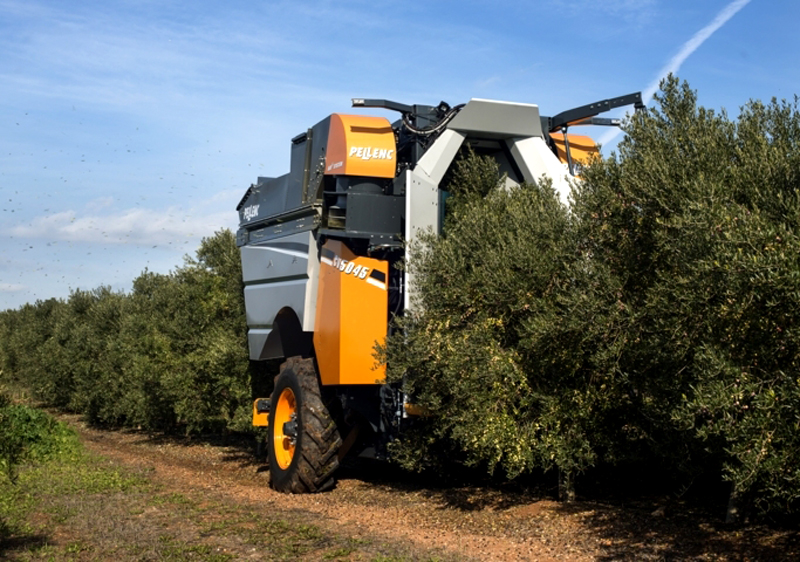 Máquina de recoger aceituna por succión